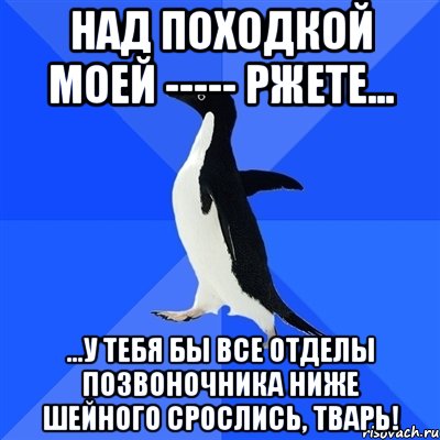 Над походкой моей ----- ржете... ...у тебя бы все отделы позвоночника ниже шейного срослись, тварь!, Мем  Социально-неуклюжий пингвин