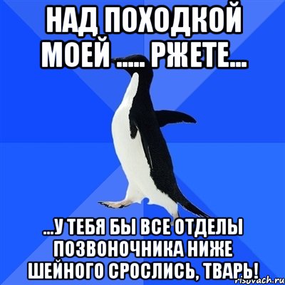 Над походкой моей ..... ржете... ...у тебя бы все отделы позвоночника ниже шейного срослись, тварь!, Мем  Социально-неуклюжий пингвин