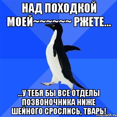 Над походкой моей~~~~~~ ржете... ...у тебя бы все отделы позвоночника ниже шейного срослись, тварь!, Мем  Социально-неуклюжий пингвин