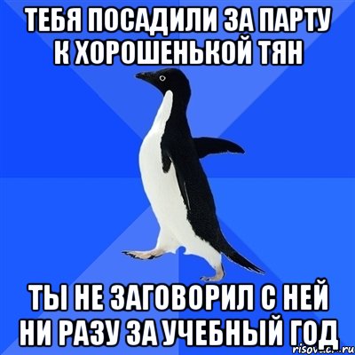 тебя посадили за парту к хорошенькой тян ты не заговорил с ней ни разу за учебный год, Мем  Социально-неуклюжий пингвин