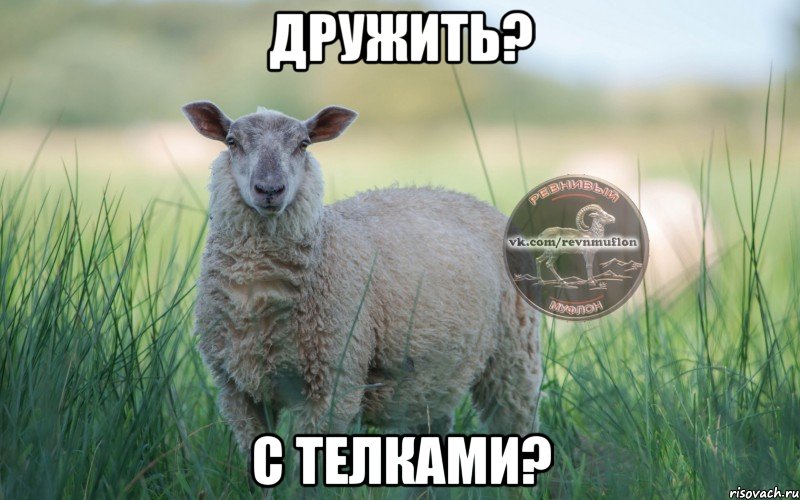 ДРУЖИТЬ? С ТЕЛКАМИ?