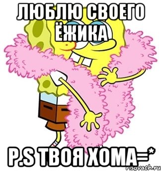 Люблю своего ёжика P.S твоя хома=*, Мем Спанч боб