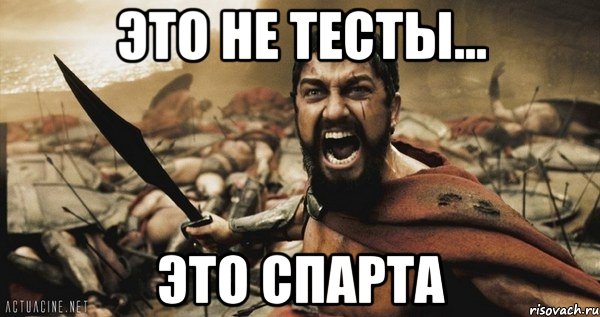 Это не тесты... Это СПАРТА, Мем Это Спарта