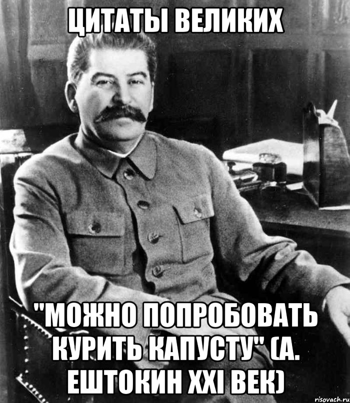 ЦИТАТЫ ВЕЛИКИХ "можно попробовать курить капусту" (А. Ештокин XXI век), Мем  иосиф сталин