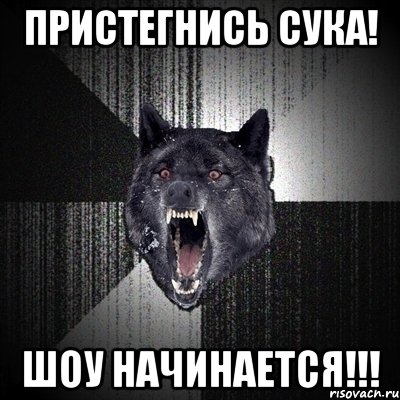 ПРИСТЕГНИСЬ СУКА! ШОУ НАЧИНАЕТСЯ!!!, Мем Сумасшедший волк