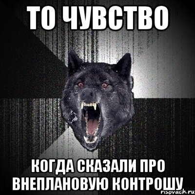 То чувство когда сказали про внеплановую контрошу, Мем Сумасшедший волк