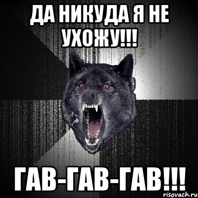 Да никуда я не ухожу!!! Гав-гав-гав!!!, Мем Сумасшедший волк