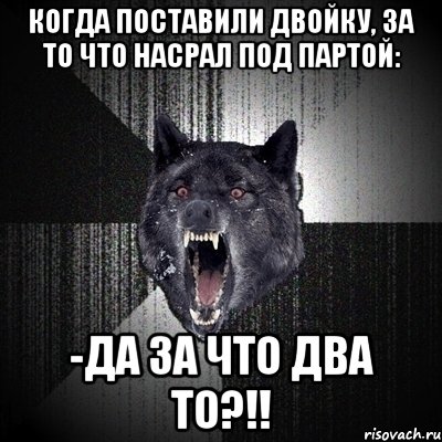 Когда поставили двойку, за то что насрал под партой: -Да за что два то?!!, Мем Сумасшедший волк