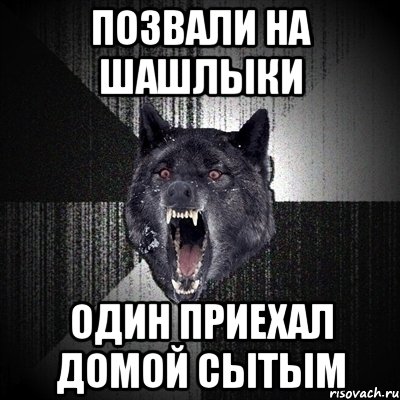 позвали на шашлыки один приехал домой сытым, Мем Сумасшедший волк