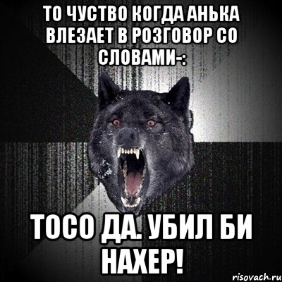 то чуство когда Анька влезает в розговор со словами-: Тосо да. Убил би нахер!, Мем Сумасшедший волк