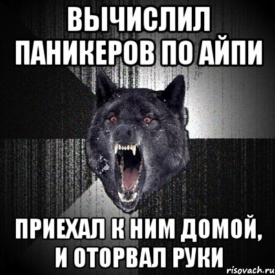 вычислил паникеров по айпи приехал к ним домой, и оторвал руки, Мем Сумасшедший волк