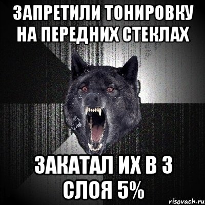 ЗАПРЕТИЛИ ТОНИРОВКУ НА ПЕРЕДНИХ СТЕКЛАХ ЗАКАТАЛ ИХ В 3 СЛОЯ 5%, Мем Сумасшедший волк