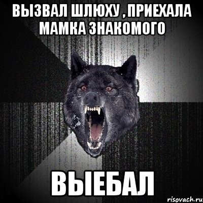 вызвал шлюху , приехала мамка знакомого ВЫЕБАЛ, Мем Сумасшедший волк