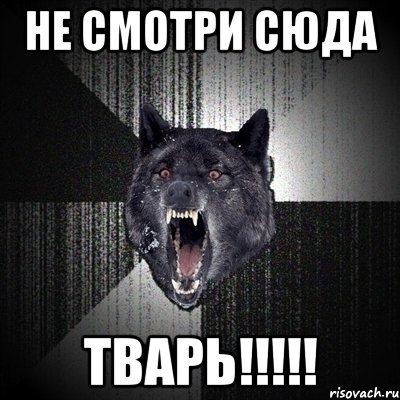 НЕ СМОТРИ СЮДА ТВАРЬ!!!!!, Мем Сумасшедший волк