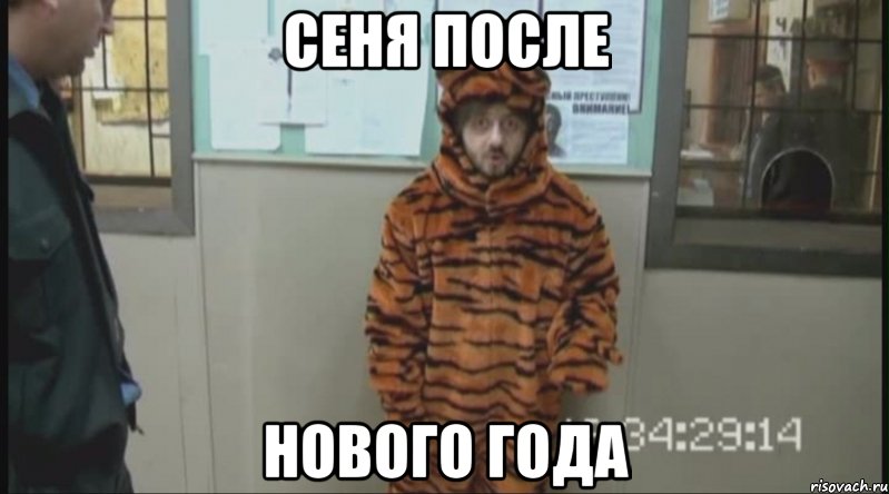 сеня после нового года, Мем Бородач в костюме тигра (Наша Раша)