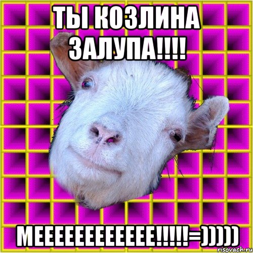 ты козлина залупа!!!! МееЕееееЕЕееЕ!!!!!=))))), Мем типичная коза