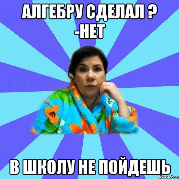 Алгебру сделал ? -нет В школу не пойдешь, Мем типичная мама