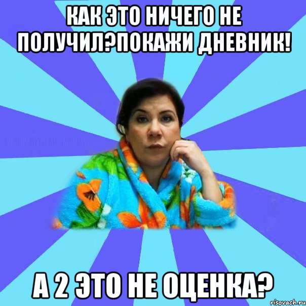 Как это ничего не получил?Покажи дневник! А 2 это не оценка?, Мем типичная мама