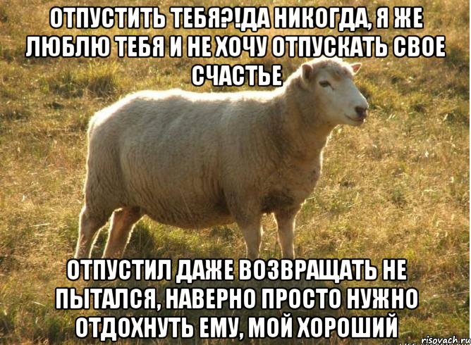 Отпустить тебя?!Да никогда, я же люблю тебя и не хочу отпускать свое счастье Отпустил даже возвращать не пытался, наверно просто нужно отдохнуть ему, мой хороший, Мем Типичная овца