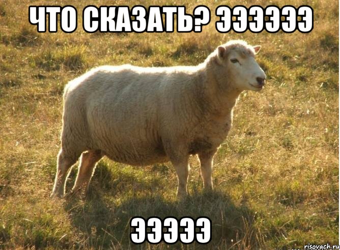 Что сказать? ээээээ эээээ, Мем Типичная овца