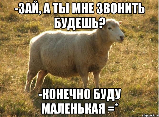 -Зай, а ты мне звонить будешь? -Конечно буду маленькая =*, Мем Типичная овца