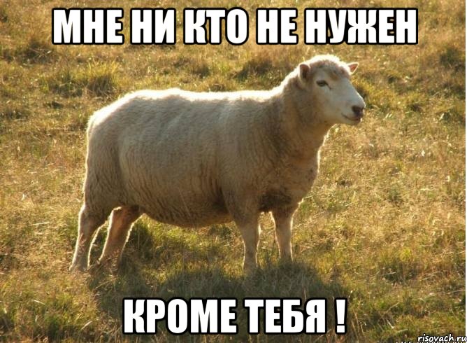 мне ни кто не нужен кроме тебя !