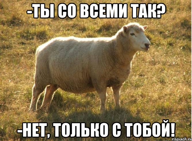 -ты со всеми так? -нет, только с тобой!, Мем Типичная овца