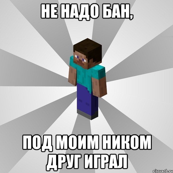 не надо бан, под моим ником друг играл, Мем Типичный игрок Minecraft