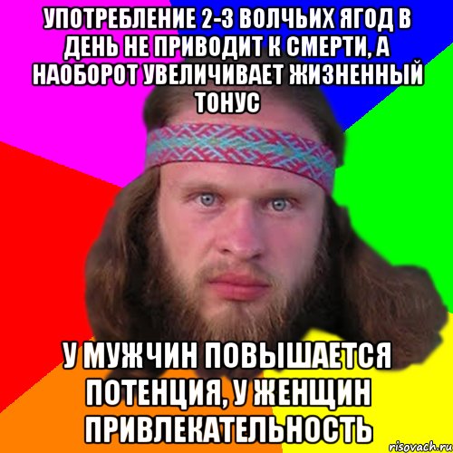 Употребление 2-3 волчьих ягод в день не приводит к смерти, а наоборот увеличивает жизненный тонус У мужчин повышается потенция, у женщин привлекательность, Мем Типичный долбослав