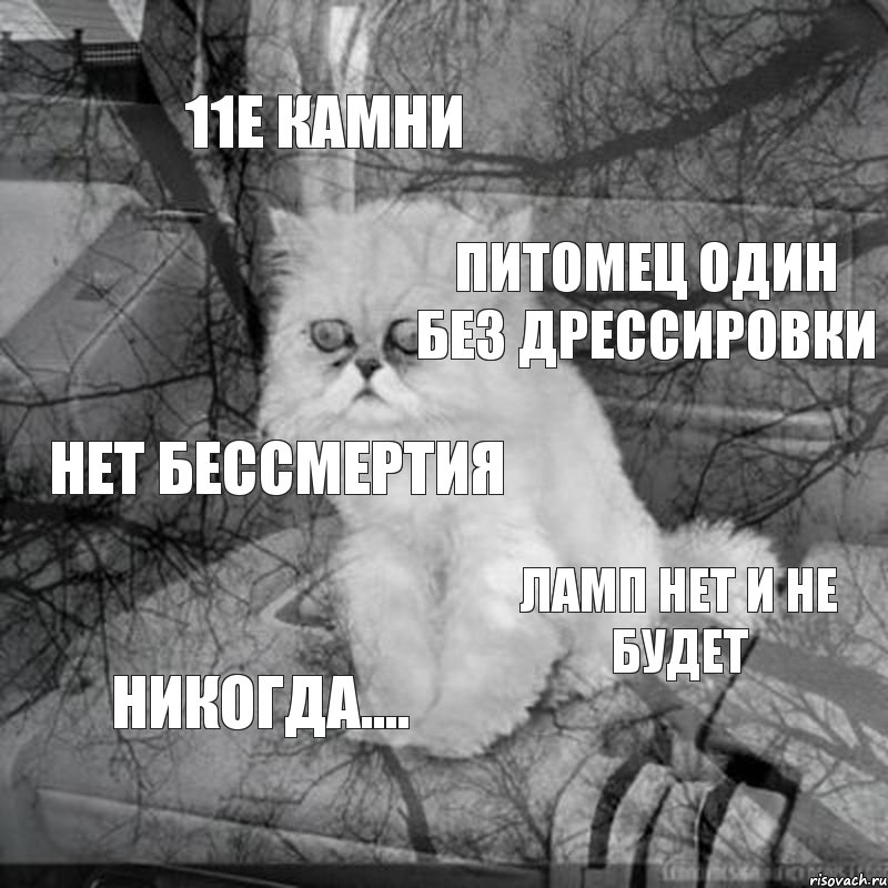 11е камни питомец один без дрессировки нет бессмертия ламп нет и не будет никогда....