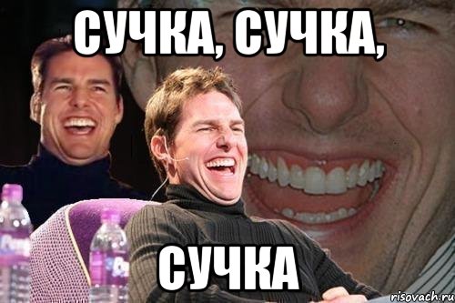 сучка, сучка, сучка, Мем том круз