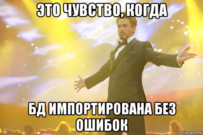 это чувство, когда БД импортирована без ошибок, Мем Тони Старк (Роберт Дауни младший)