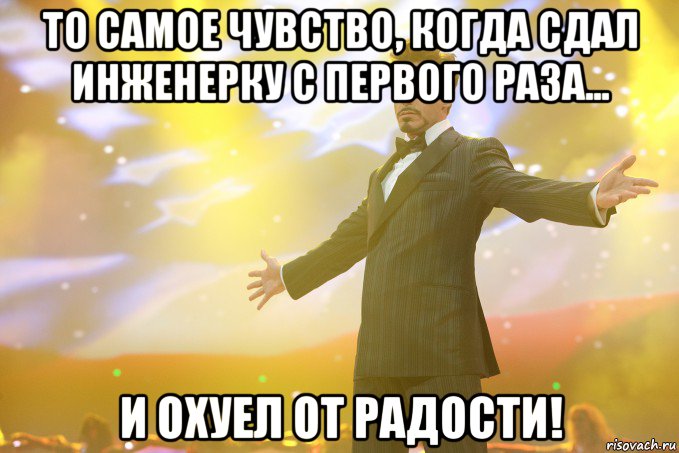 ТО САМОЕ ЧУВСТВО, КОГДА СДАЛ ИНЖЕНЕРКУ С ПЕРВОГО РАЗА... И ОХУЕЛ ОТ РАДОСТИ!, Мем Тони Старк (Роберт Дауни младший)