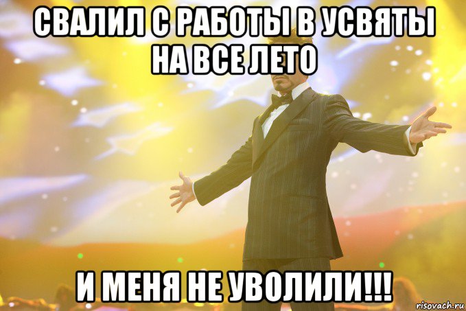 СВАЛИЛ С РАБОТЫ В УСВЯТЫ НА ВСЕ ЛЕТО И МЕНЯ НЕ УВОЛИЛИ!!!, Мем Тони Старк (Роберт Дауни младший)