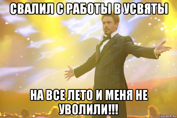 СВАЛИЛ С РАБОТЫ В УСВЯТЫ НА ВСЕ ЛЕТО И МЕНЯ НЕ УВОЛИЛИ!!!, Мем Тони Старк (Роберт Дауни младший)