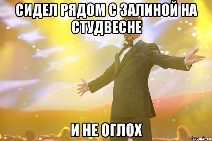 Сидел рядом с Залиной на студвесне И не оглох, Мем Тони Старк (Роберт Дауни младший)