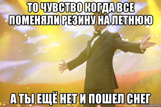 То чувство когда все поменяли резину на летнюю А ты ещё нет и пошел снег, Мем Тони Старк (Роберт Дауни младший)