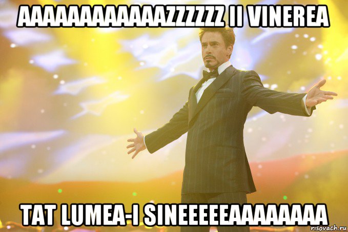 aaaaaaaaaaaazzzzzz ii vinerea tat lumea-i sineeeeeaaaaaaaa, Мем Тони Старк (Роберт Дауни младший)