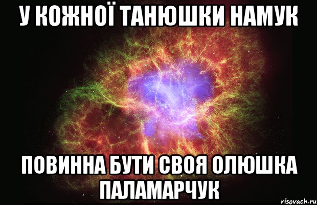 У кожної Танюшки Намук Повинна бути своя Олюшка Паламарчук, Мем Туманность