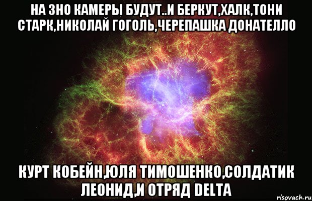 На ЗНО камеры будут..и Беркут,Халк,Тони Старк,Николай Гоголь,Черепашка Донателло Курт Кобейн,Юля Тимошенко,солдатик Леонид,и отряд Delta, Мем Туманность