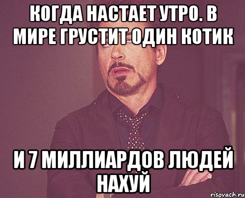 Когда настает утро. в мире грустит один котик и 7 миллиардов людей нахуй, Мем твое выражение лица