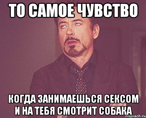 То самое чувство когда занимаешься сексом и на тебя смотрит собака, Мем твое выражение лица