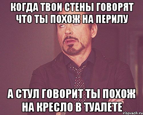 КОГДА ТВОИ СТЕНЫ ГОВОРЯТ ЧТО ТЫ ПОХОЖ НА ПЕРИЛУ А СТУЛ ГОВОРИТ ТЫ ПОХОЖ НА КРЕСЛО В ТУАЛЕТЕ, Мем твое выражение лица