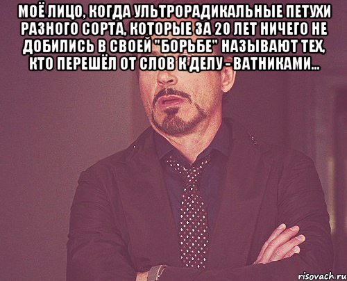 моё лицо, когда ультрорадикальные петухи разного сорта, которые за 20 лет ничего не добились в своей "борьбе" называют тех, кто перешёл от слов к делу - ватниками... , Мем твое выражение лица