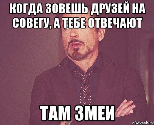 Когда зовешь друзей на Совегу, а тебе отвечают там змеи, Мем твое выражение лица