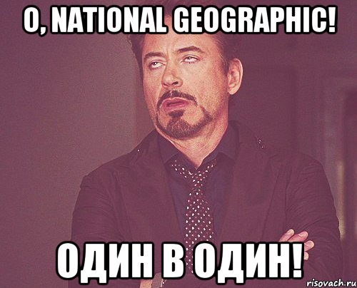 O, NATIONAL GEOGRAPHIC! Один в один!, Мем твое выражение лица