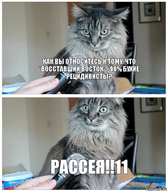 Как вы относитесь к тому, что *восставший Восток* - 90% бухие рецидивисты? Рассея!!11, Комикс  кот с микрофоном