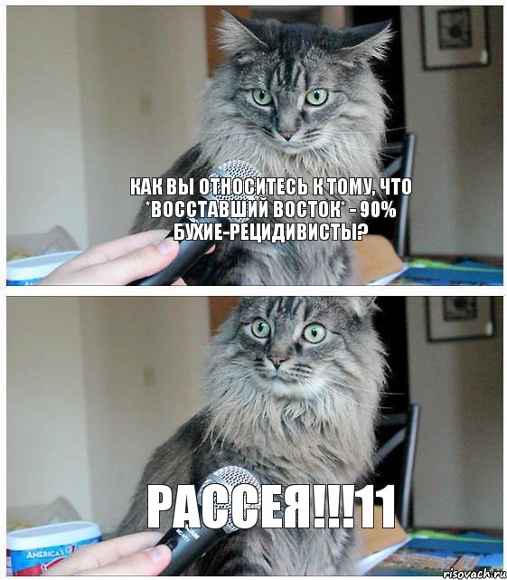 Как вы относитесь к тому, что *восставший Восток* - 90% бухие-рецидивисты? Рассея!!!11, Комикс  кот с микрофоном