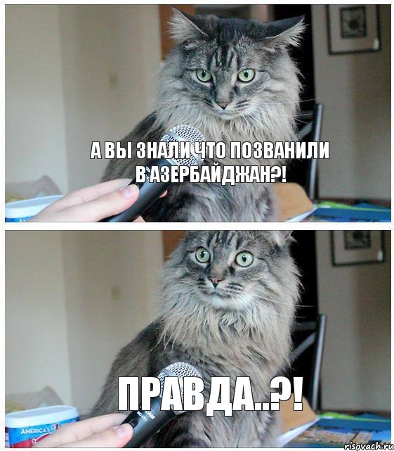 А вы знали что позванили в Азербайджан?! Правда..?!, Комикс  кот с микрофоном