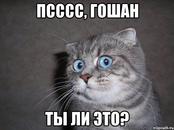 Псссс, Гошан Ты ли это?